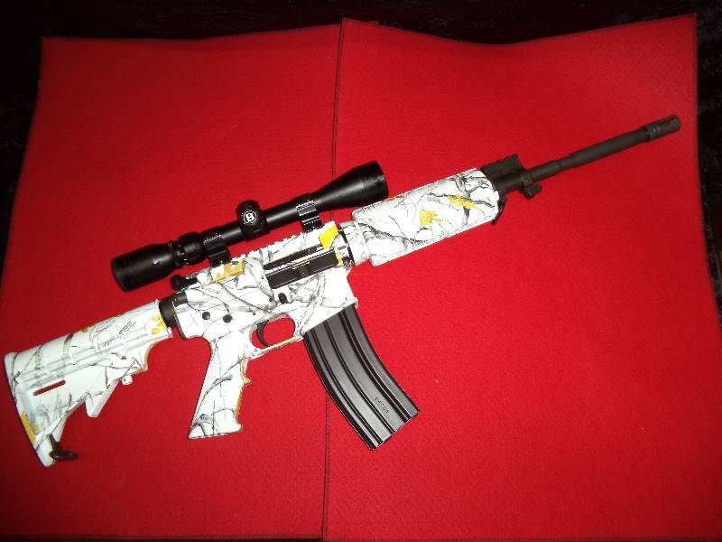 Windham Weaponry M4AR15 wBushnell Scope