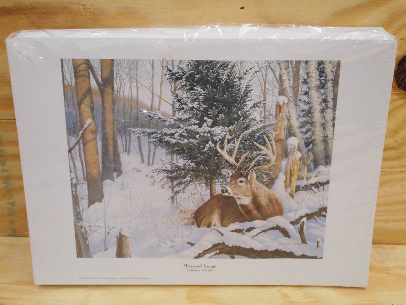 (250) Mirrored Image Prints By Ro...