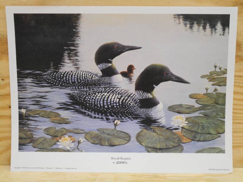 (100) Royal Regatta Prints By DER...