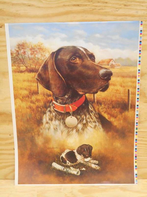 Approx (350) Retreiver Prints By La...