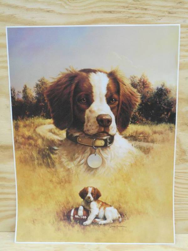 Approx (250) Retreiver Prints By La...