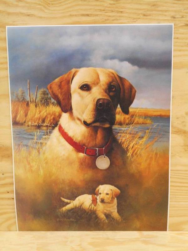 Approx (250) Retreiver Prints By La...