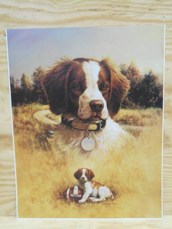 Approx (250) Retreiver Prints By La...
