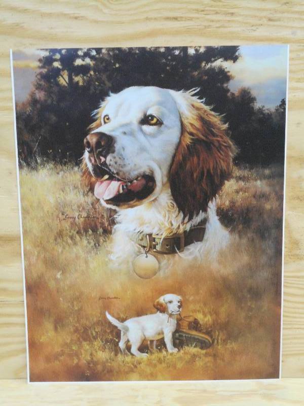 Approx (250) Retreiver Prints By La...