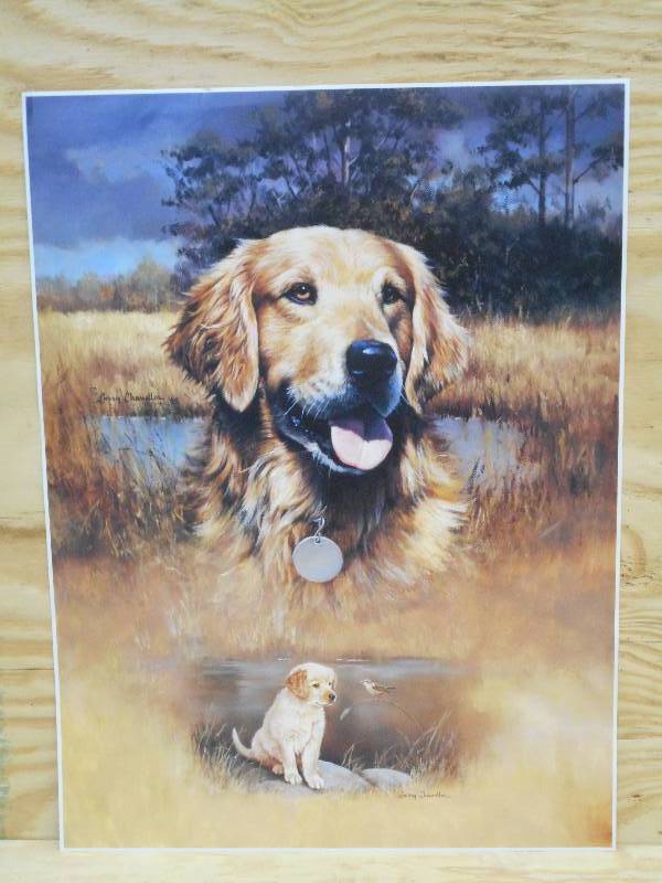 Approx (250) Retreiver Prints By La...