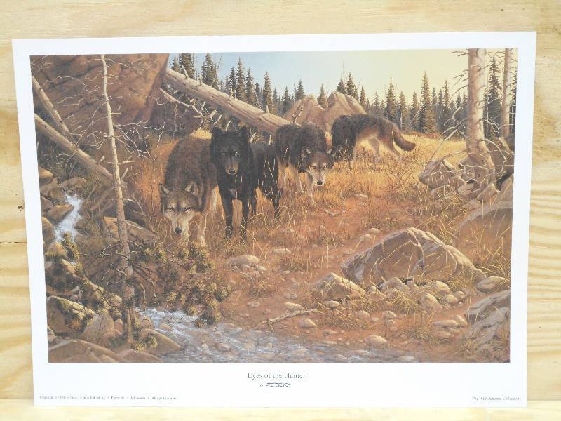 (75) Eyes Of The Hunter Prints By...