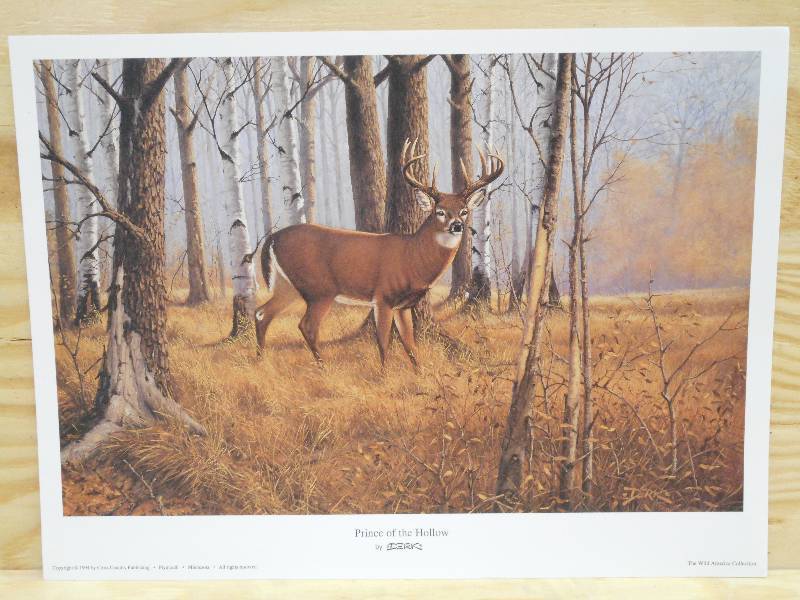 (50) Prince Of The Hollow Prints ...