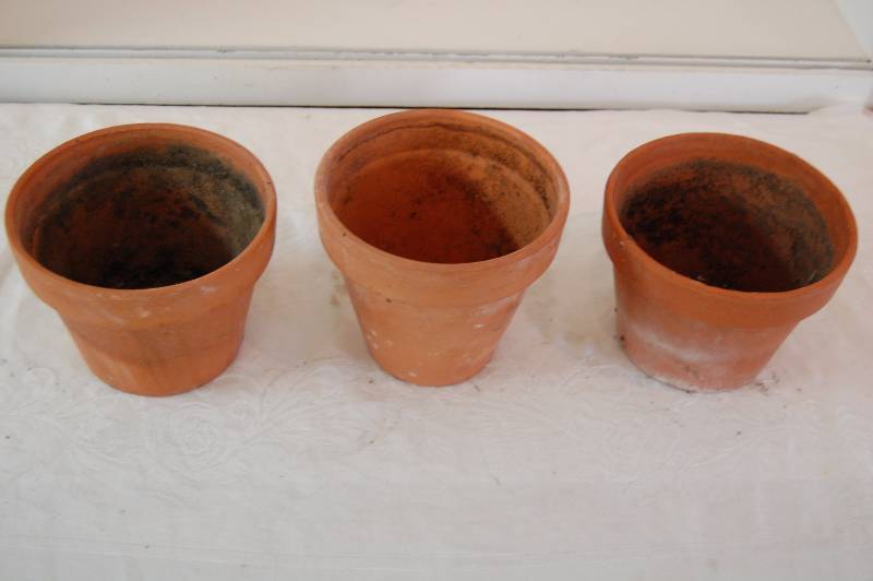 Terra Cotta Planters