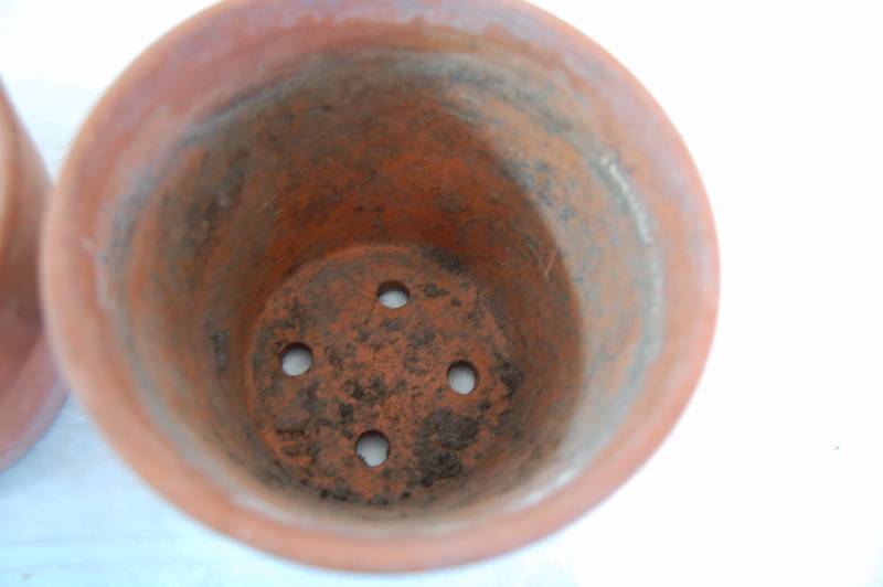 Terra Cotta Planters