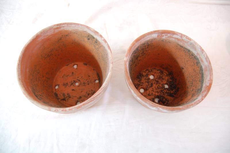 Terra Cotta Planters
