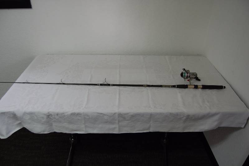 Fishing Pole