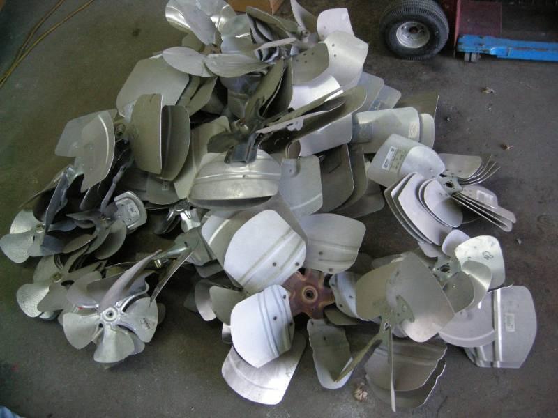 lot 77 image: Many Fans