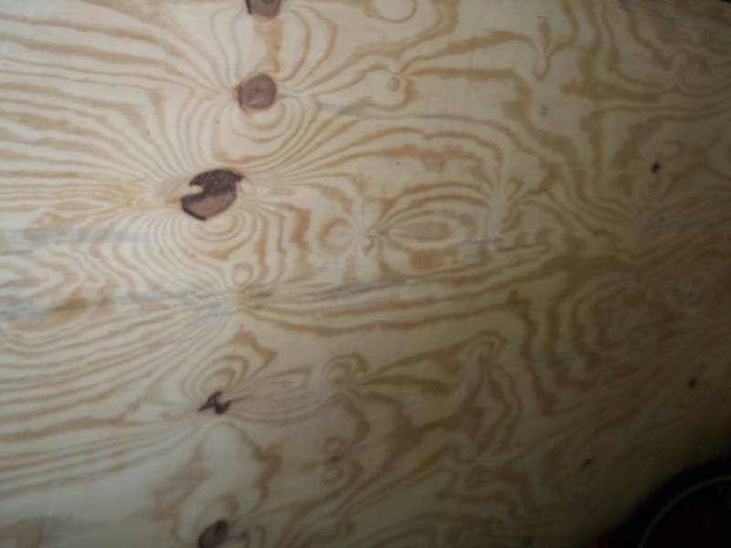 4 x 8 Plywood  14 pine