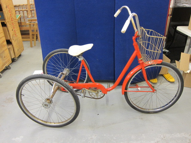 Adult Tricycle