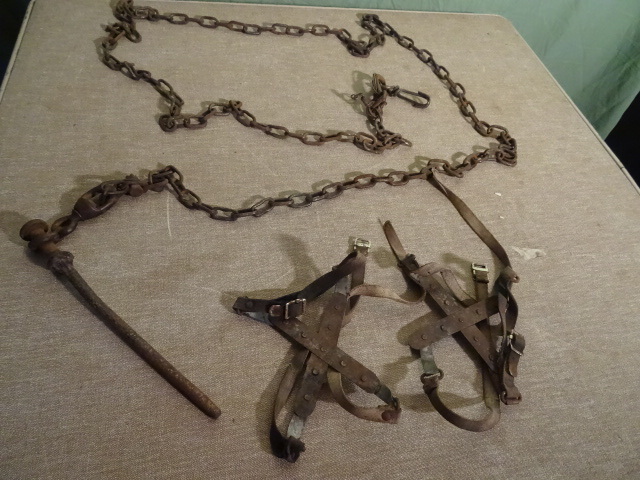 lot 105 image: Ice Cleats Chain with Ground Stake