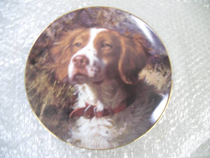 Collector Plate