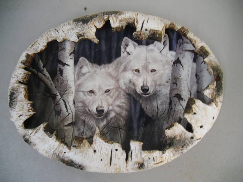 Collector Plate