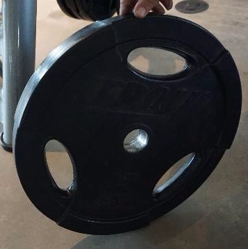 lot 9 image: Set of 2 - Troy Free Weight 45 lb Weight Plates