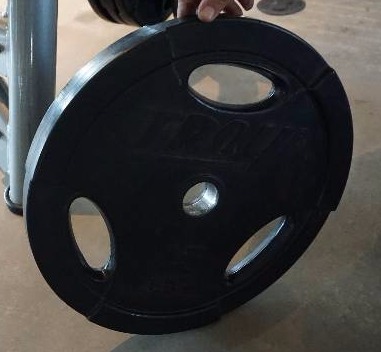 lot 8 image: Set of 2 - Troy Free Weight 45 lb Weight Plates
