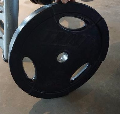lot 7 image: Set of - 2 Troy Free Weight 45 lb Weight Plates