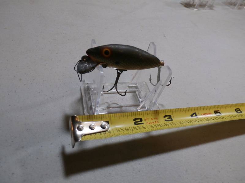 lot 20 image: true temper shad