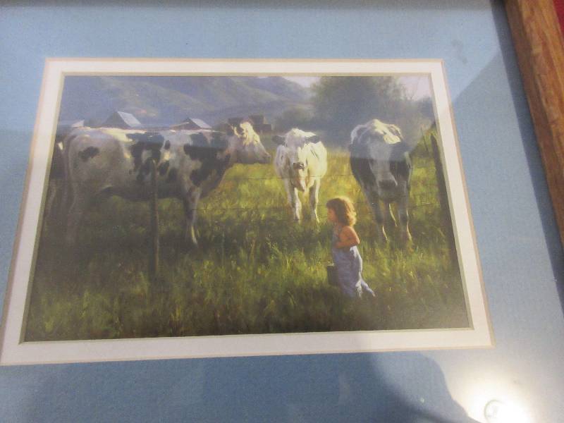 COW PICTURE