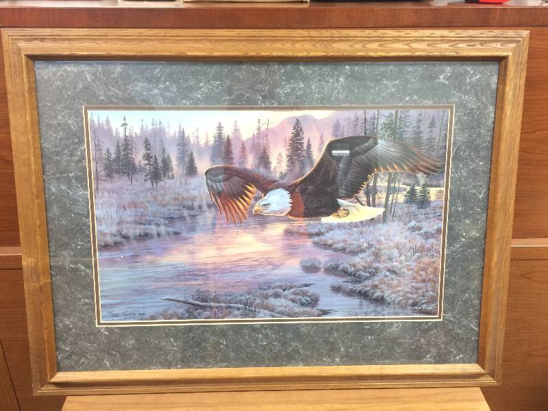Eagle Picture