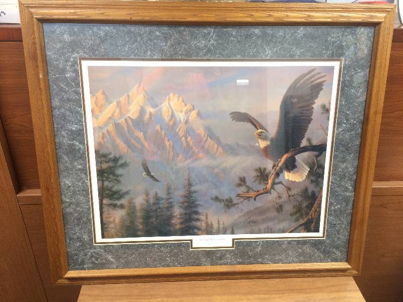 Eagle Picture