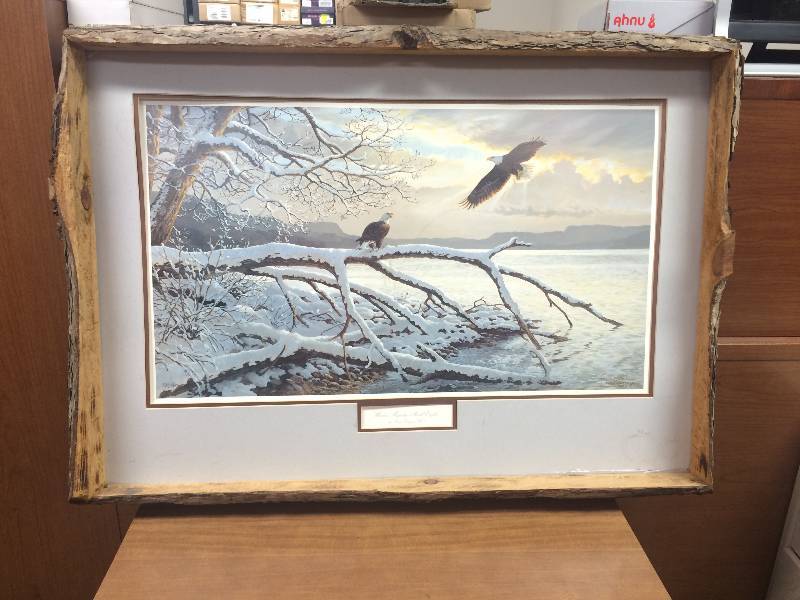Bald Eagle Painting wFrame