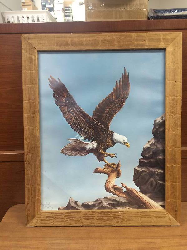 Eagle Picture