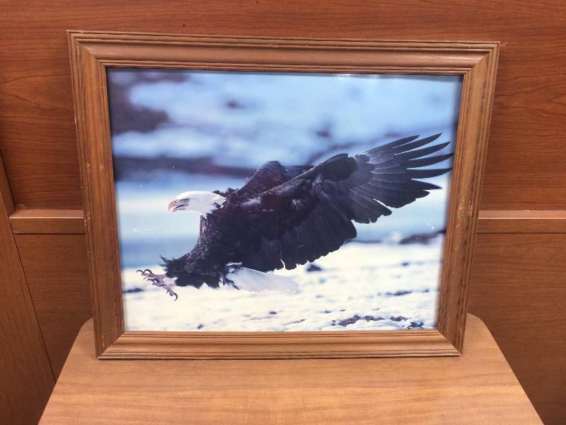 Eagle Picture