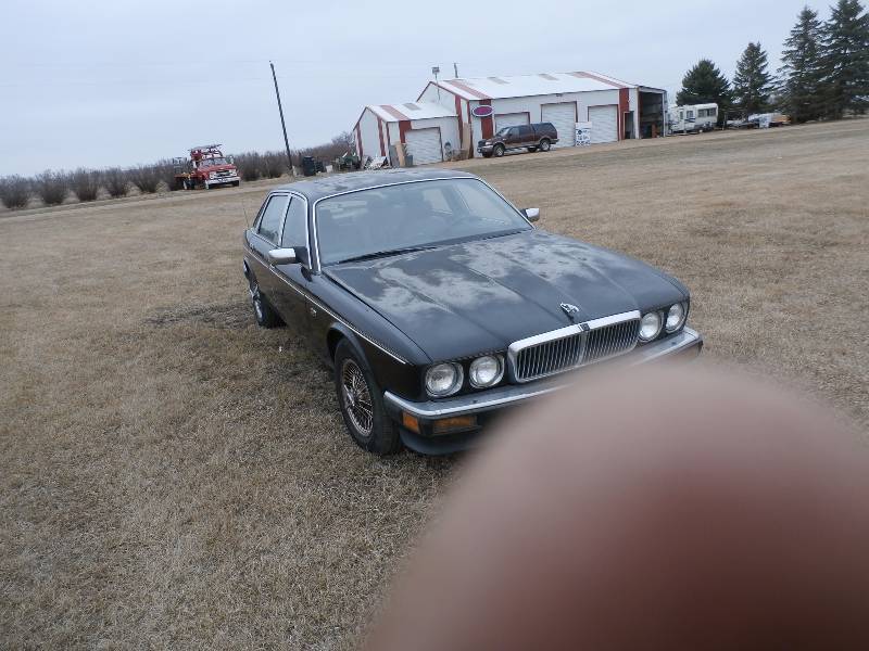1989 Jaguar Vander Plas