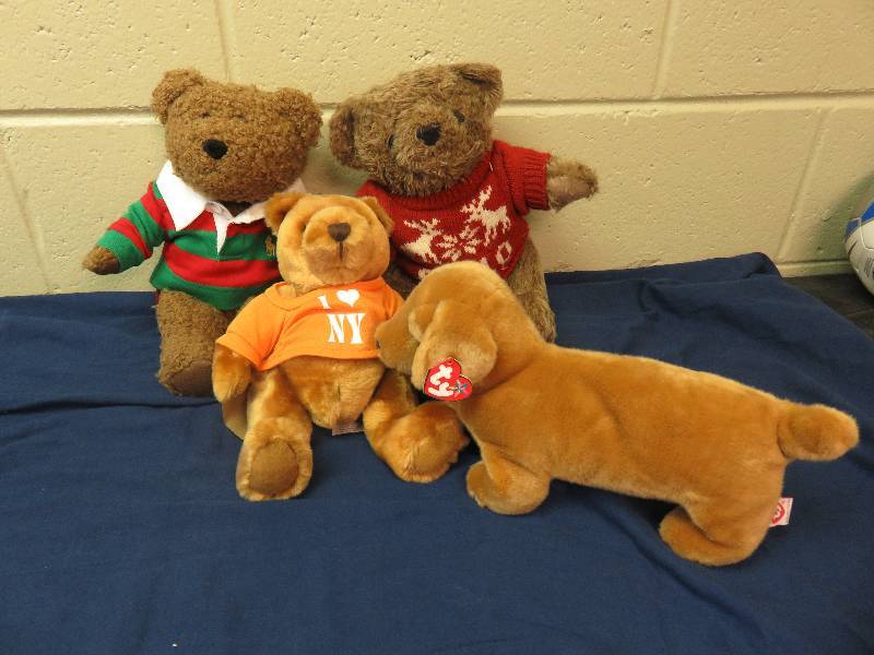 Teddy Bear Lot