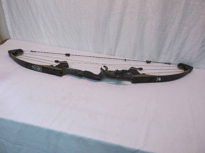 Hunting Bow