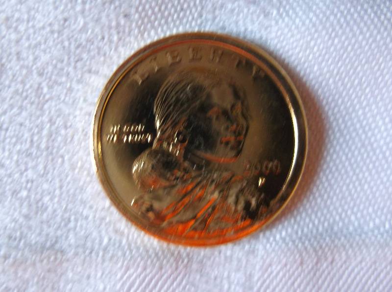 Sacagawea Dollar
