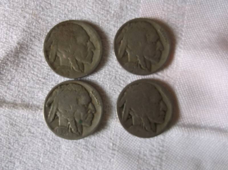 Buffalo Nickle