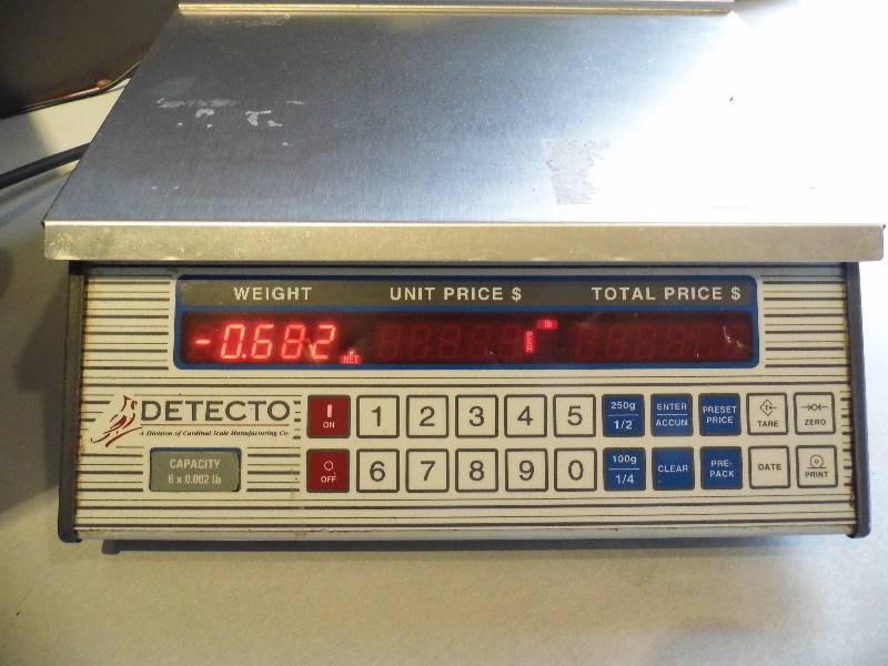 Detecto Digital Scale