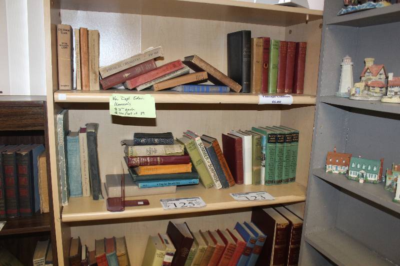 lot 123 image: Top 3-Shelves Lot of Books