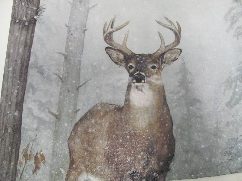lot 76 image: Wildlife Artwork