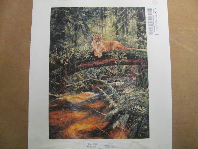 lot 80 image: Wildlife Artwork