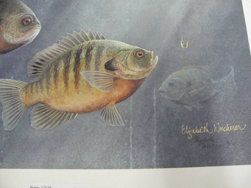 lot 84 image: Wildlife Artwork