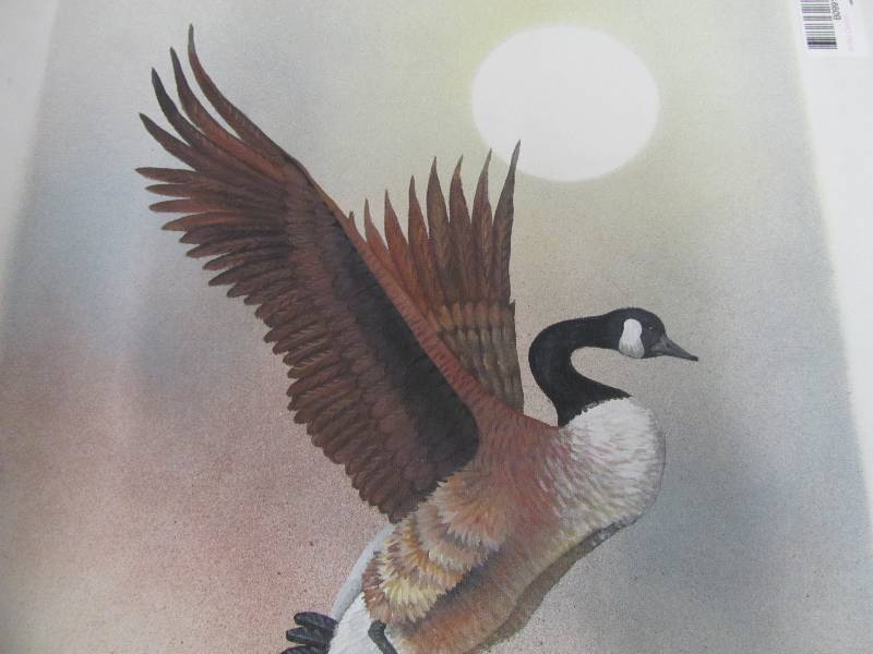 lot 87 image: Wildlife Artwork