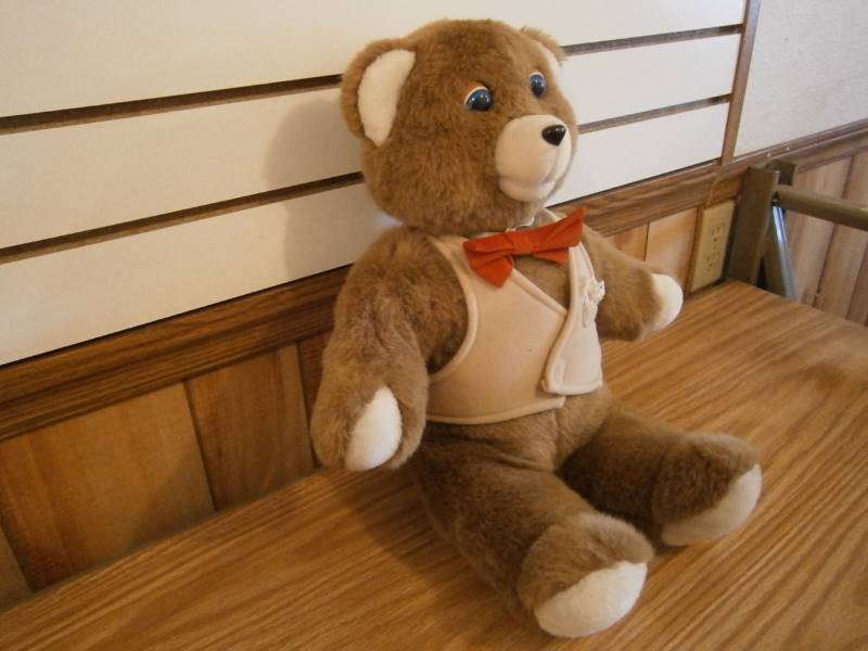 Teddy Ruxpin Teddy Bear