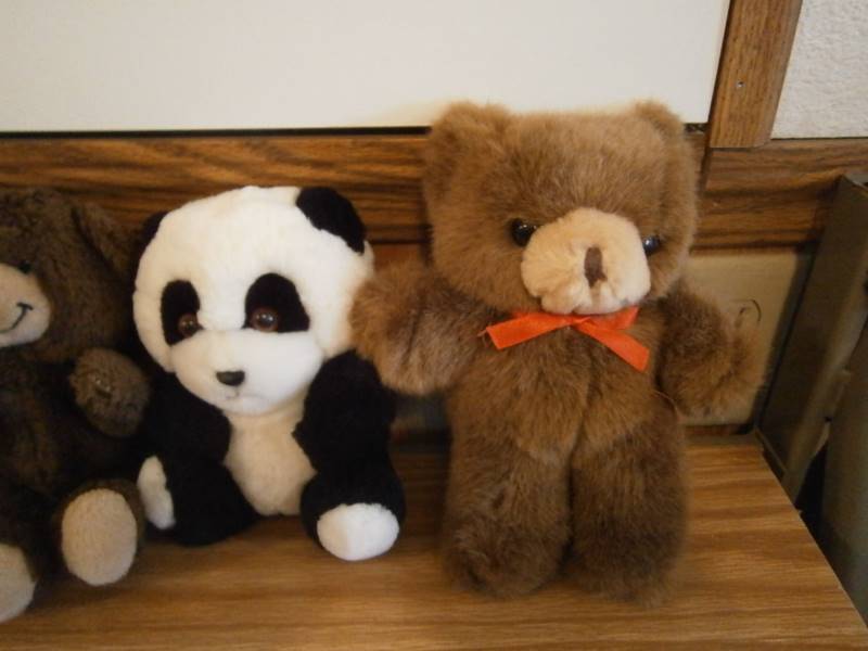 7 Teddy Bears