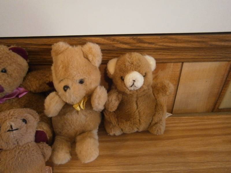 7 Teddy Bears