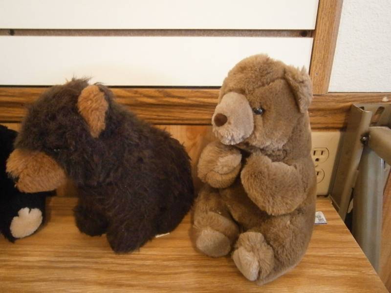 5 Stuffed Bears
