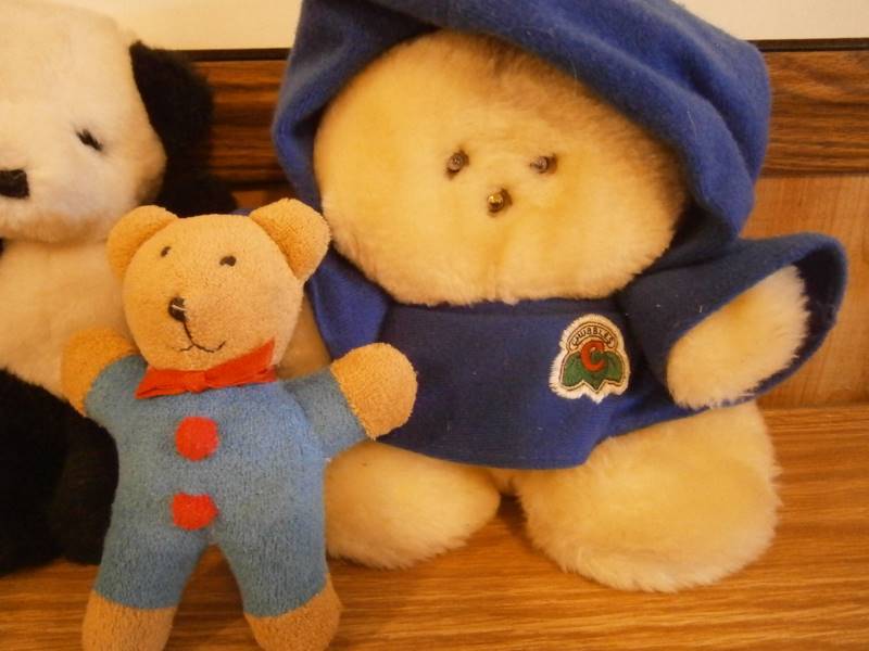 5 Teddy Bears