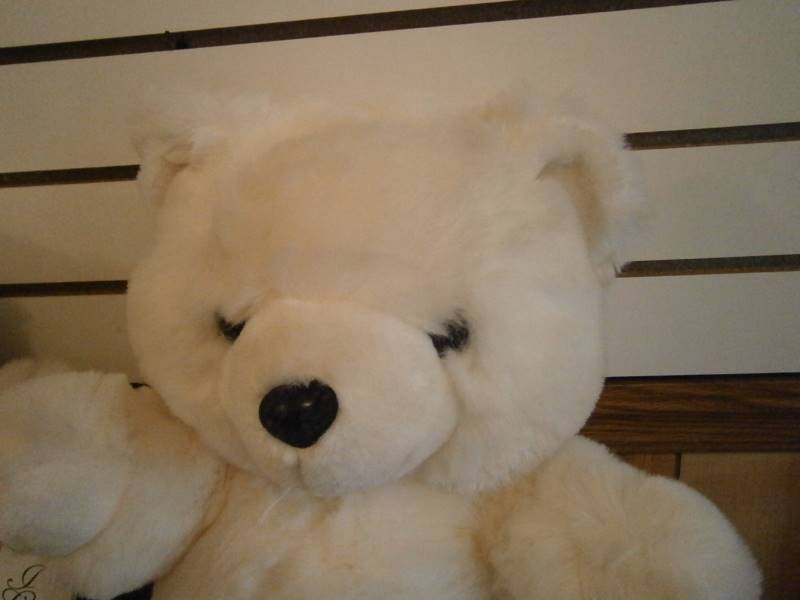 1 Valentines Teddy Bear 1 White Teddy Bear