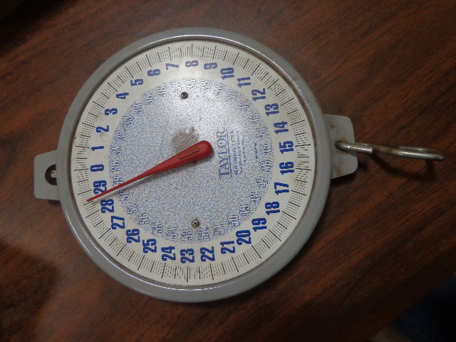 lot 65 image: Two Revolution Balance Taylor Scale