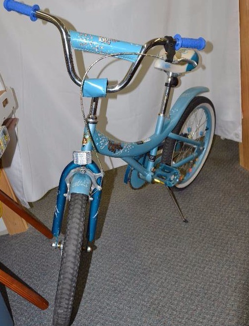 lot 106 image: 20 bike